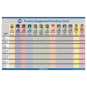 Blue Seal Home Fresh Poultry Feeding Chart