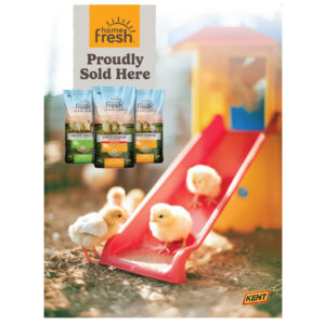 Proudly Sold Here Mini Poster