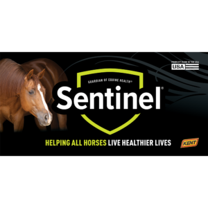 Sentinel Full-Line Banner (4ft x 2ft)