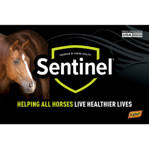 Sentinel Logo Header Panel