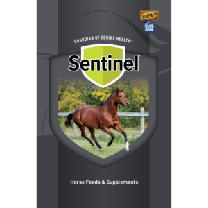 Sentinel Brochure