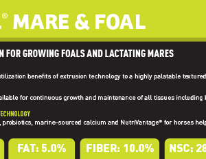 Sentinel Mare & Foal Shelf Talker