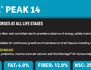 Sentinel Peak 14 Shelf Talker