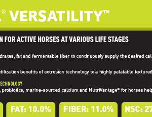 Sentinel Versatility Shelf Talker