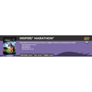 Inspire Marathon Shelf Talker