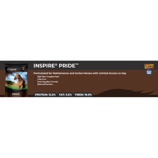 Inspire Pride Shelf Talker