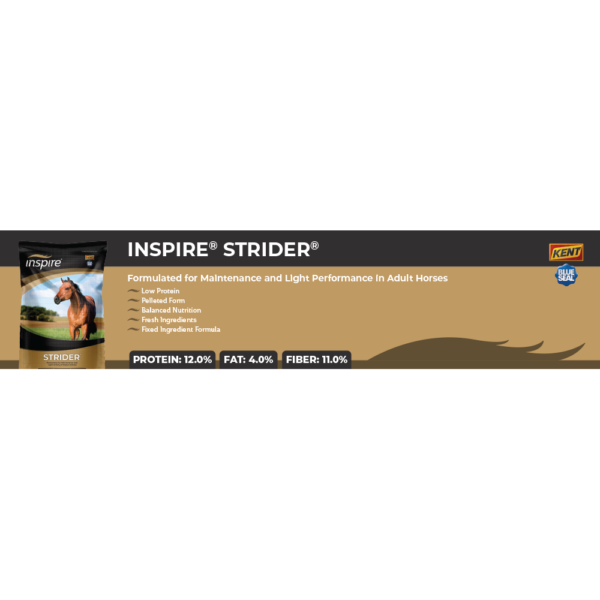 Inspire Strider Shelf Talker