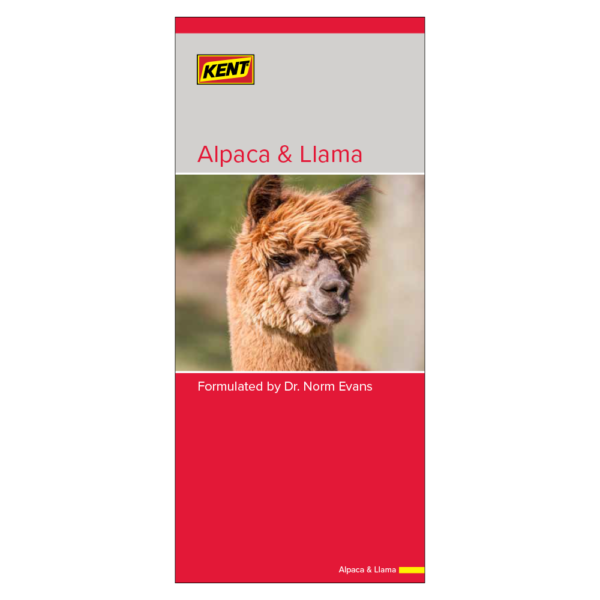 Kent Alpaca and Llama Brochure