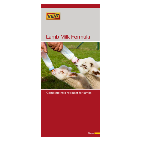 Lamb Milk Formula Rack Card