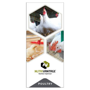 NutriVantage for Poultry Tri-fold Brochure