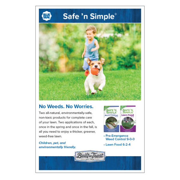 Safe 'N Simple Poster