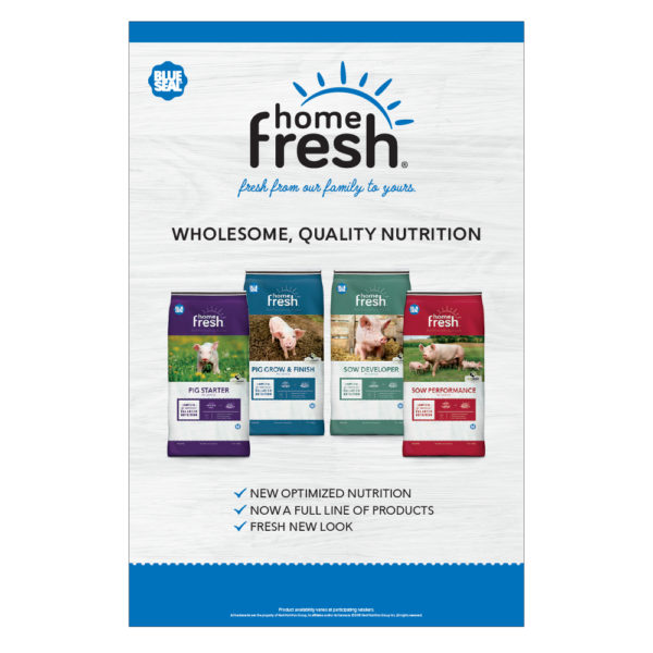 Blue Seal Home Fresh Pig Poster