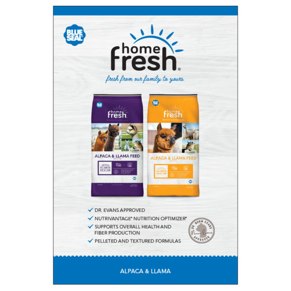 Blue Seal Home Fresh Alpaca & Llama Poster