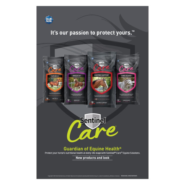 Blue Seal Sentinel Care Poster