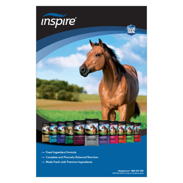 Blue Seal Inspire Poster
