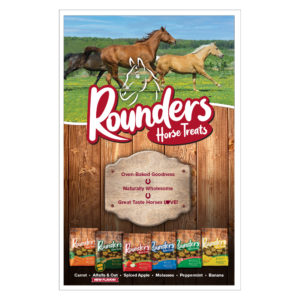 Rounders Product Poster