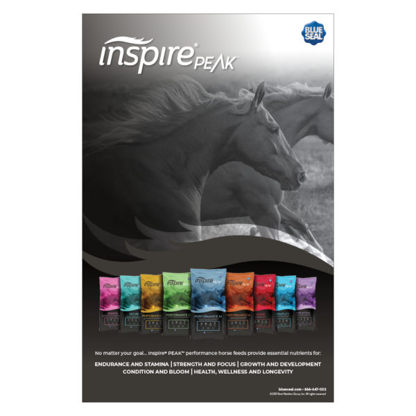 Blue Seal Inspire PEAK Poster