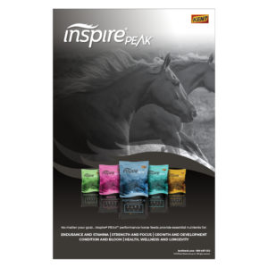 Kent Inspire PEAK Poster