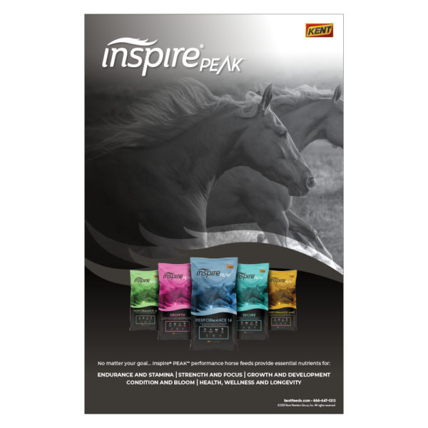 Kent Inspire PEAK Poster