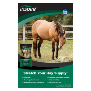 Blue Seal Inspire Hay Stretcher Poster