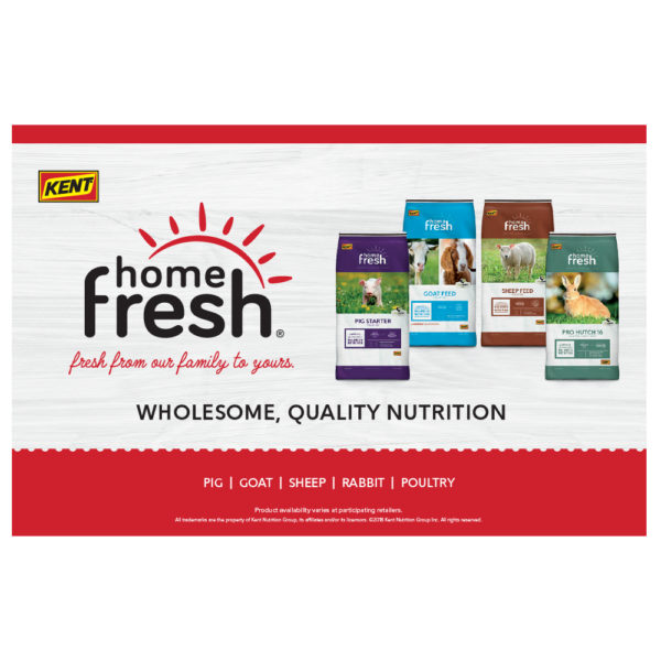 Kent Home Fresh Counter Mat Insert