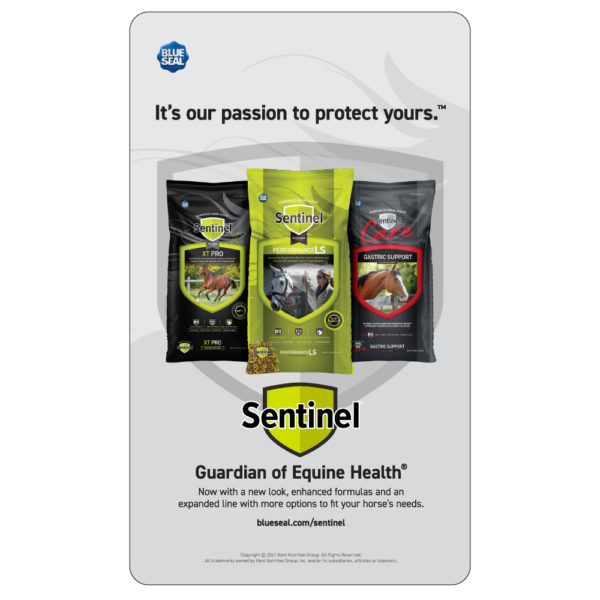 Blue Seal Sentinel Full Line Aisle Violator (Sentinel, Sentinel XT, Sentinel Care)