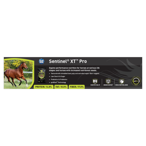 Blue Seal Sentinel XT Pro Shelf Talker