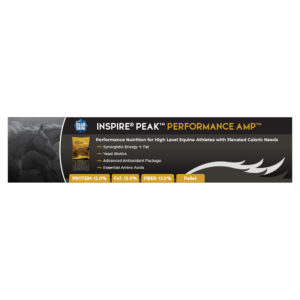 Blue Seal Inspire PEAK Performance AMP Shelf Talker
