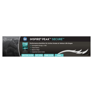 Blue Seal Inspire PEAK Secure Shelf Talker