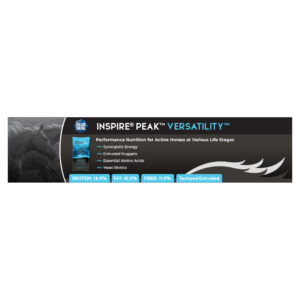 Blue Seal Inspire PEAK Versatility Shelf Talker