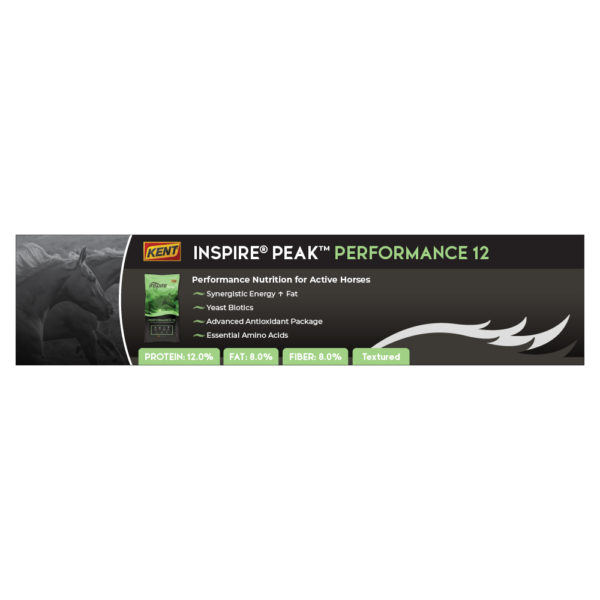 Kent Inspire PEAK Performance 12 Textured Shelf Talker