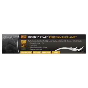 Kent Inspire PEAK Performance AMP