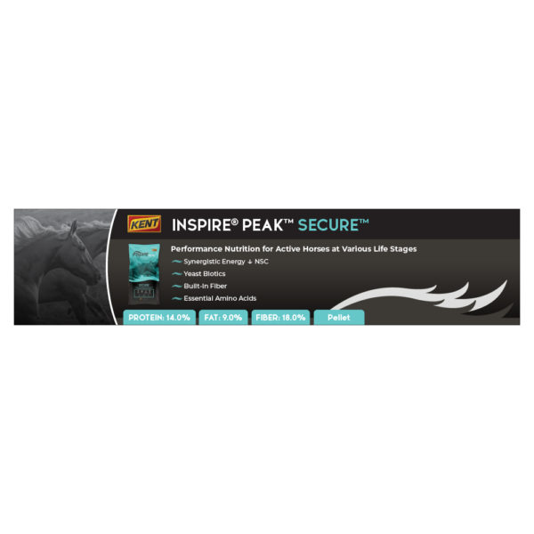 Kent Inspire PEAK Secure Shelf Talker