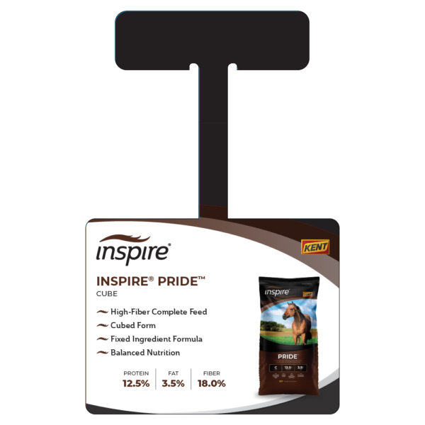Kent Inspire Pride Wobbler