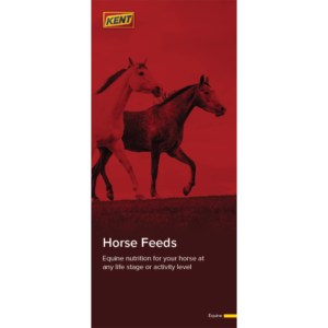 Kent Equine Brochure