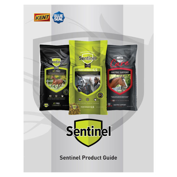 Sentinel Product Guide