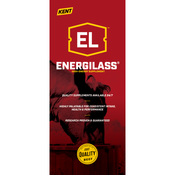 Energilass Brochure