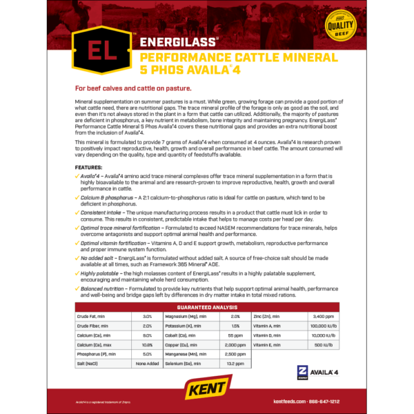 EnergiLass Cattle Mineral 5 Phos Availa4 Sell Sheet