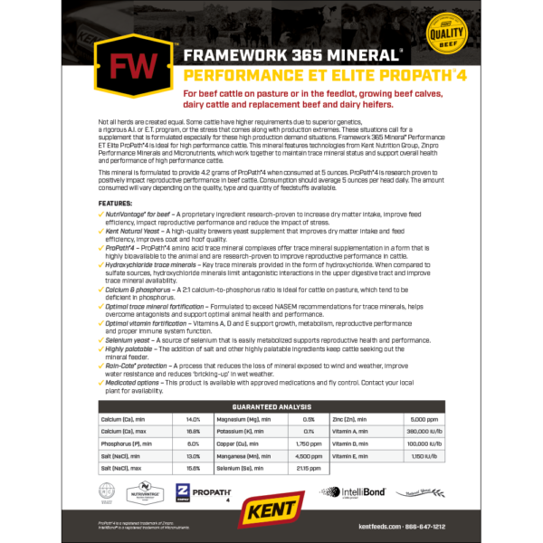 Framework 365 Mineral Performance ET Elite ProPath4 Sell Sheet