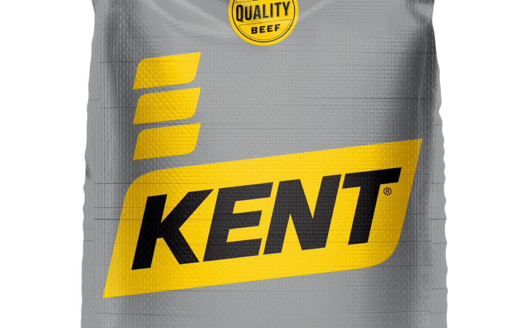 New Product Spotlight:  6190 Kent® RangeBoss™ Exact CIT Balancer 160R