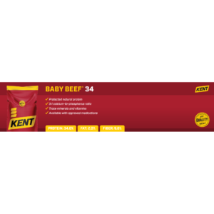 Baby Beef 34 Shelf Talker