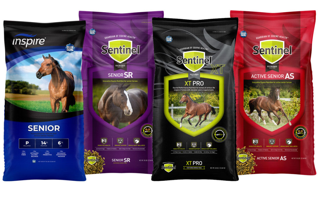 LOVE YOUR SENIOR HORSE Promotion!