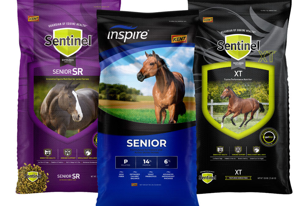 LOVE YOUR SENIOR HORSE Promotion!