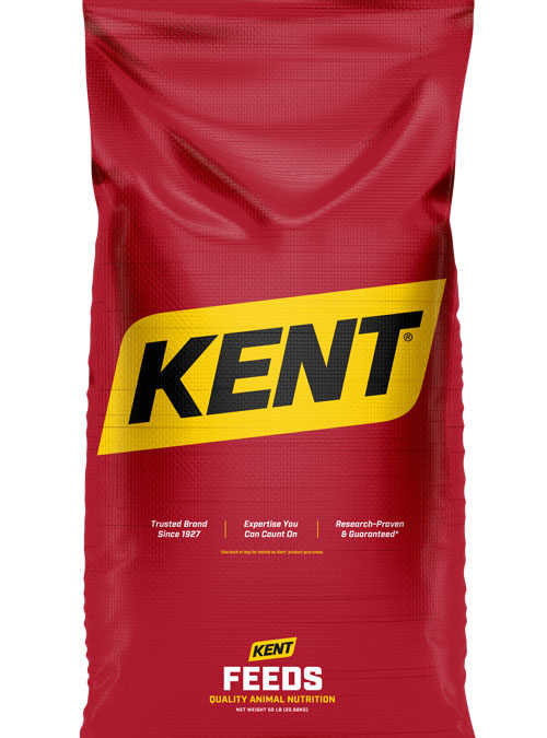 Cattle 15 Booking Promotion