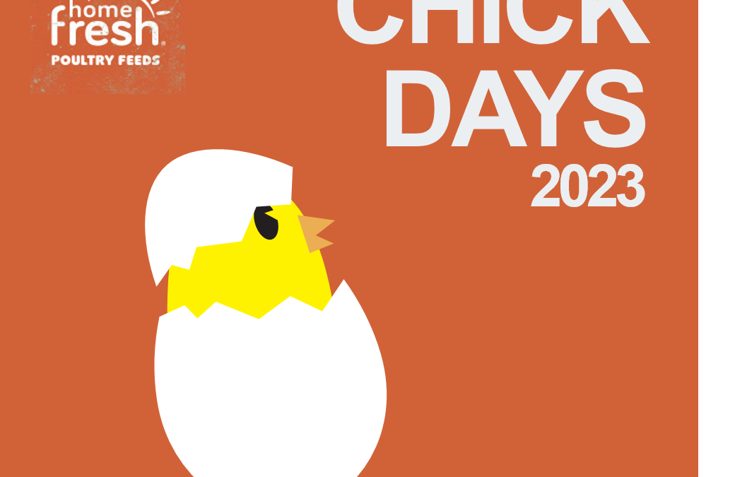 Driving Customers to Your Stores For Chick Days