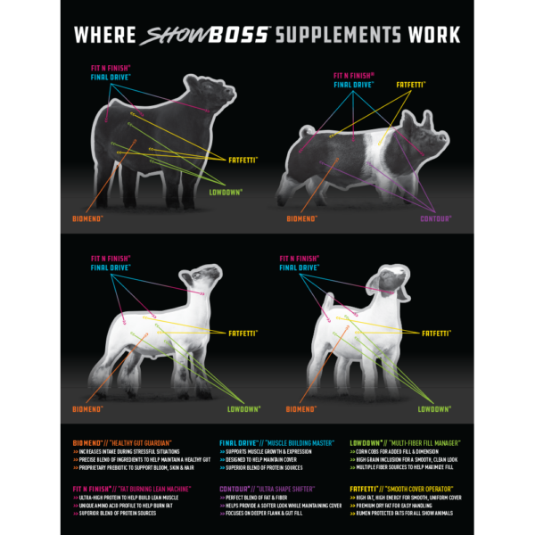 ShowBoss Supplements "Where They Work" Sheet