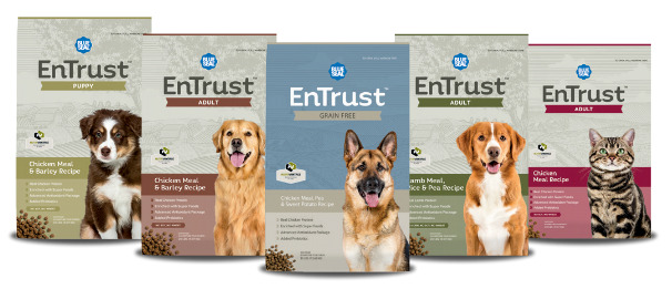 The Dog Days Of Summer Are Back!