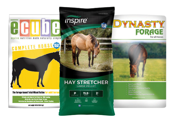 Equine Forage Frenzy
