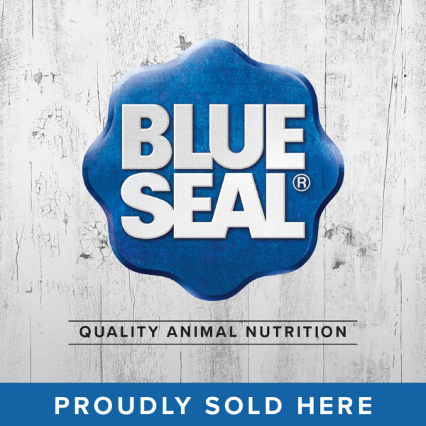 Blue Seal Window Cling