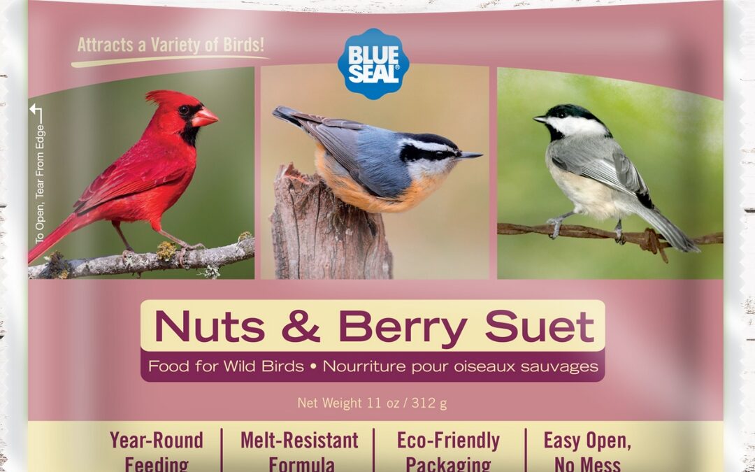 Treat Your Birds This Holiday Season!
